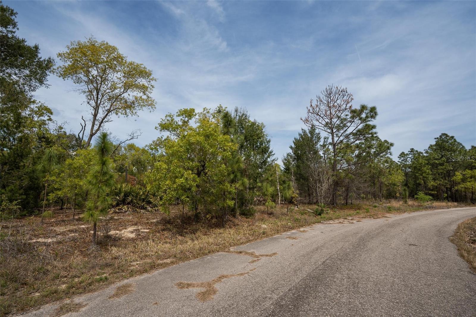 Image 8 of 26 For Guava Pass Way