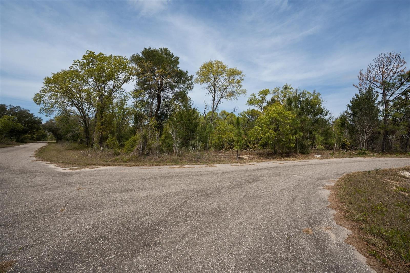 Image 9 of 26 For Guava Pass Way
