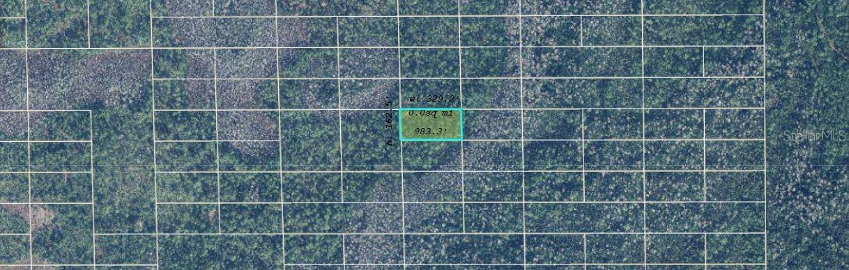 Image 2 of 3 For  Dill Road 