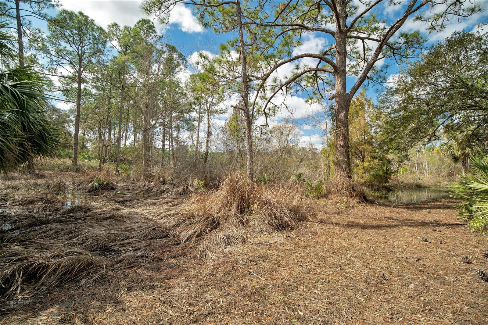 Image 9 of 15 For 875 Gator Lane