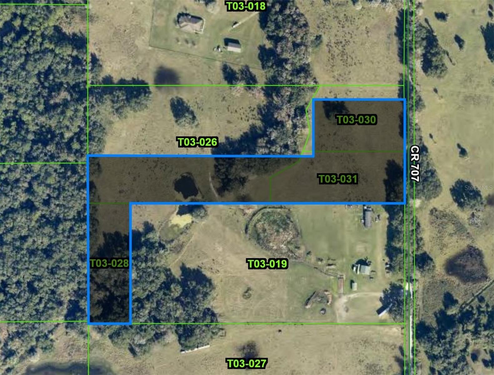 Details for  Cr 707 Road , WEBSTER, FL 33597