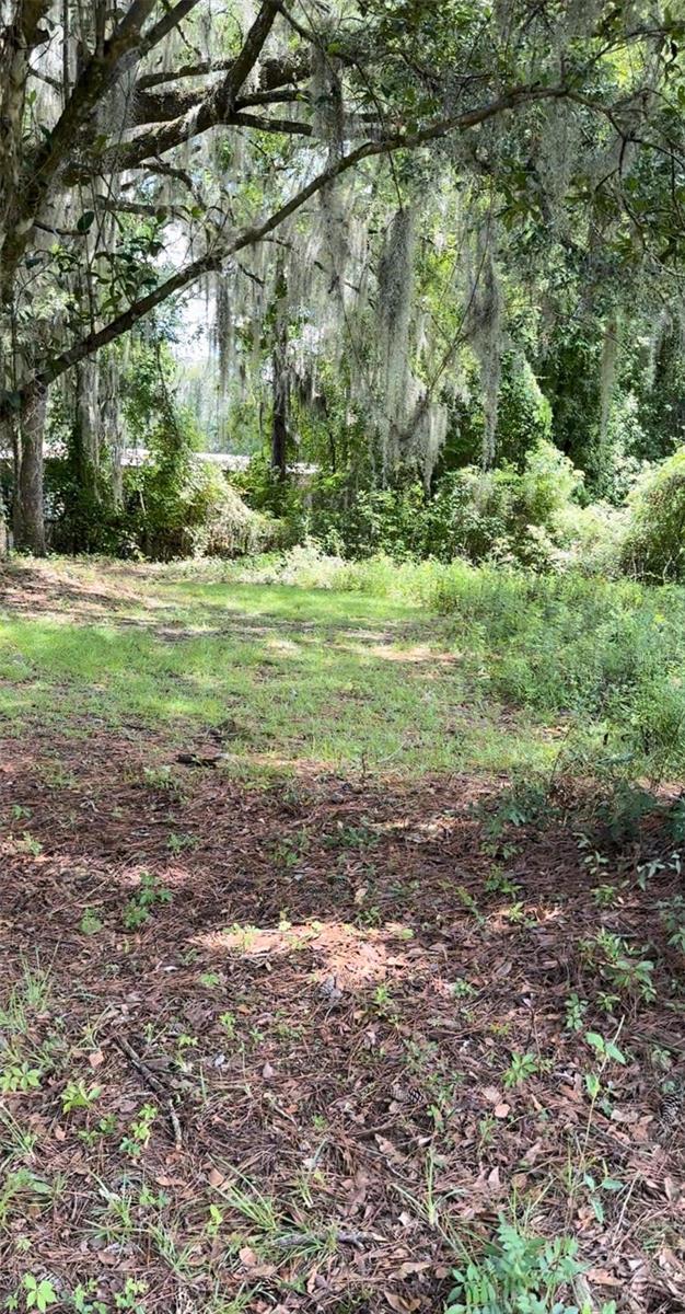 Details for 13823 State Road 235, ALACHUA, FL 32615