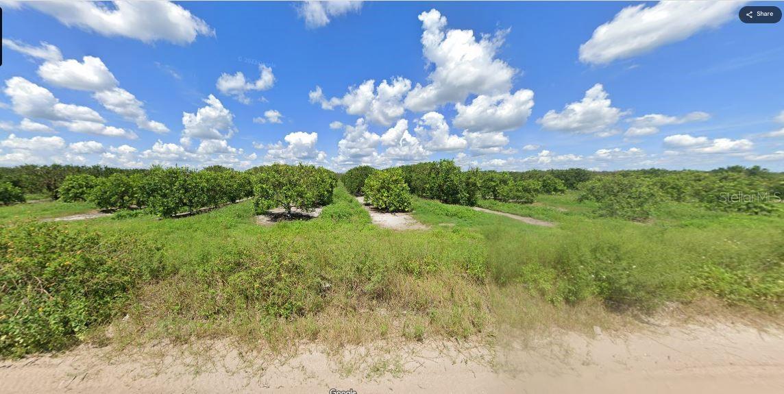 Image 3 of 3 For Holopaw Groves Road