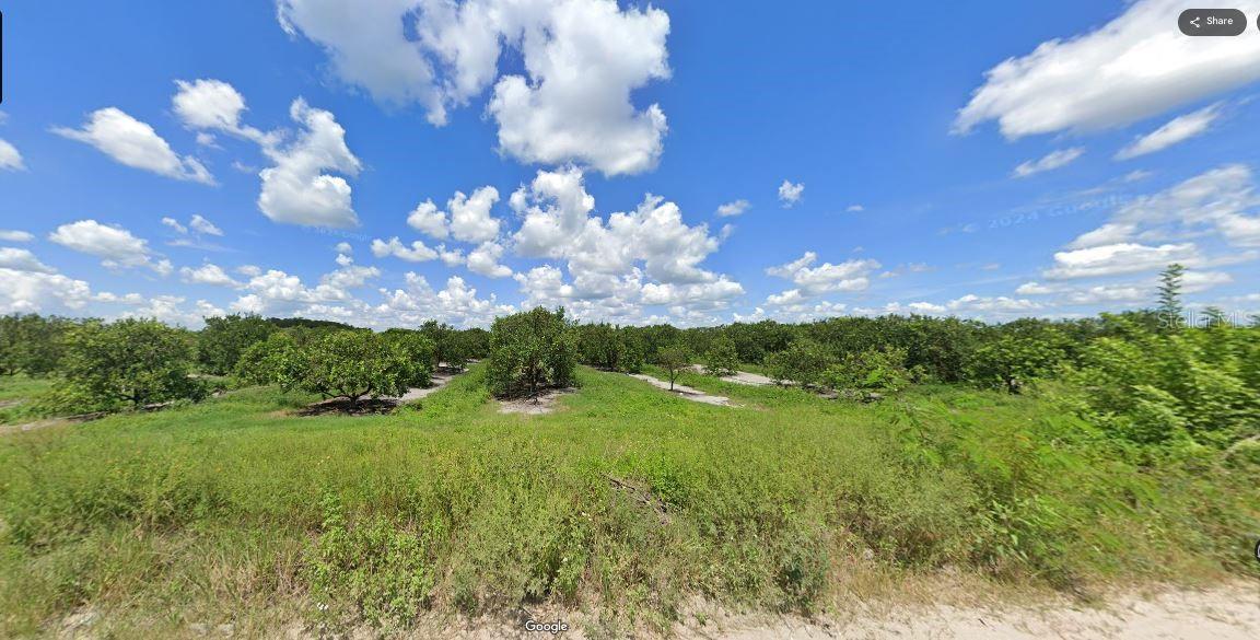 Image 4 of 4 For Holopaw Groves Road