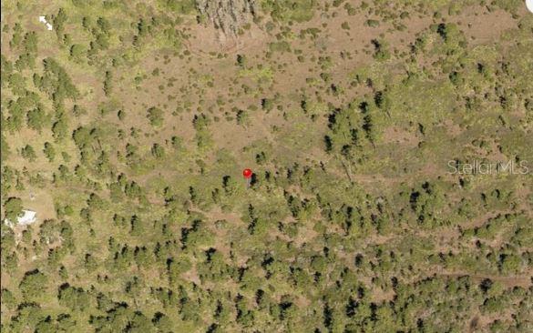 Image 2 of 6 For Holopaw Groves Road