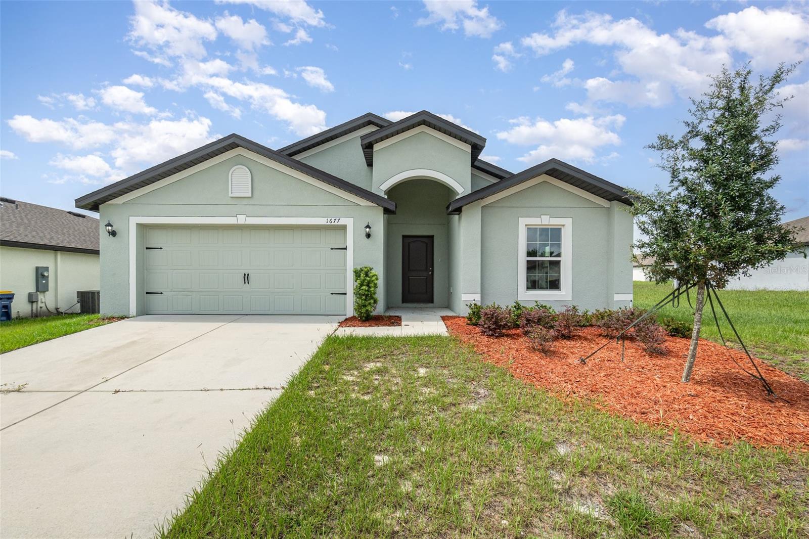 Details for 1677 Gopher Tree Street, MASCOTTE, FL 34753