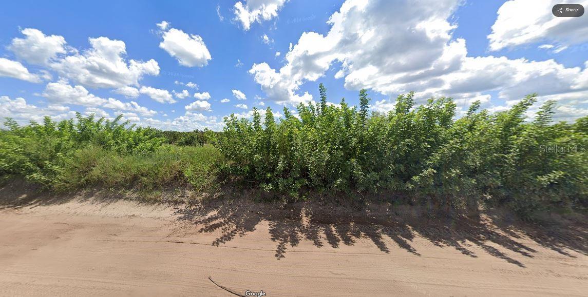Image 4 of 4 For Holopaw Groves Road