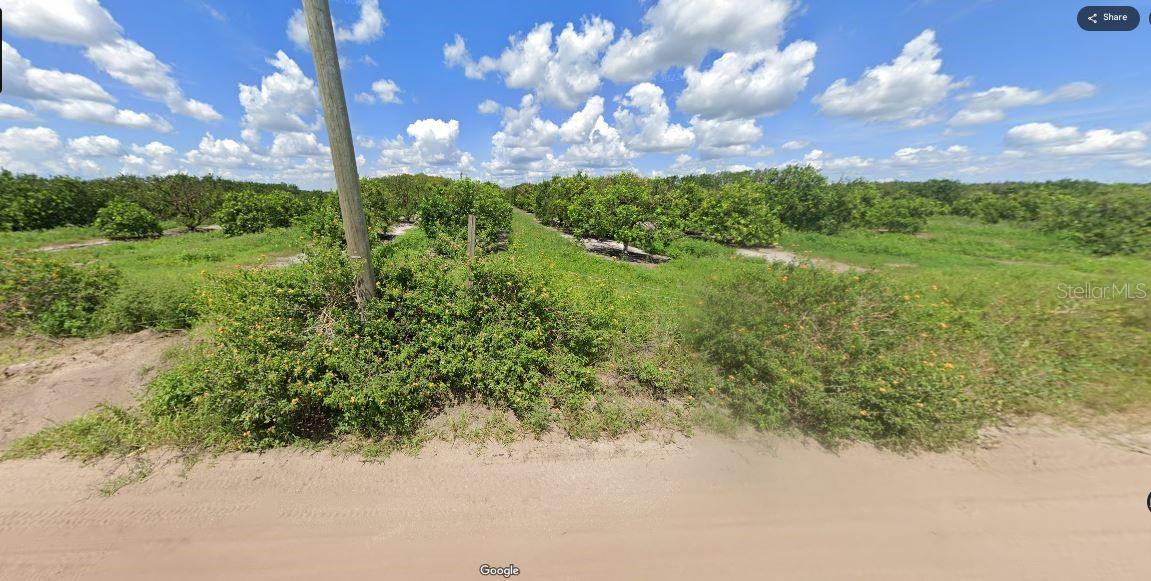 Image 7 of 7 For Holopaw Groves Road