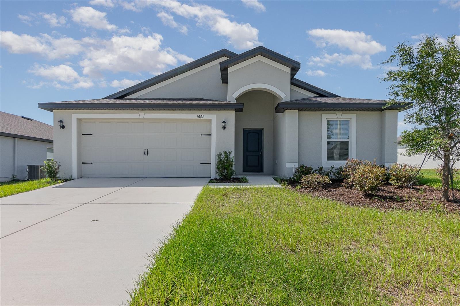 Details for 1669 Gopher Tree Street, MASCOTTE, FL 34753