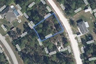 Listing Details for 1144 Lake Hill Drive, LAKE PLACID, FL 33852