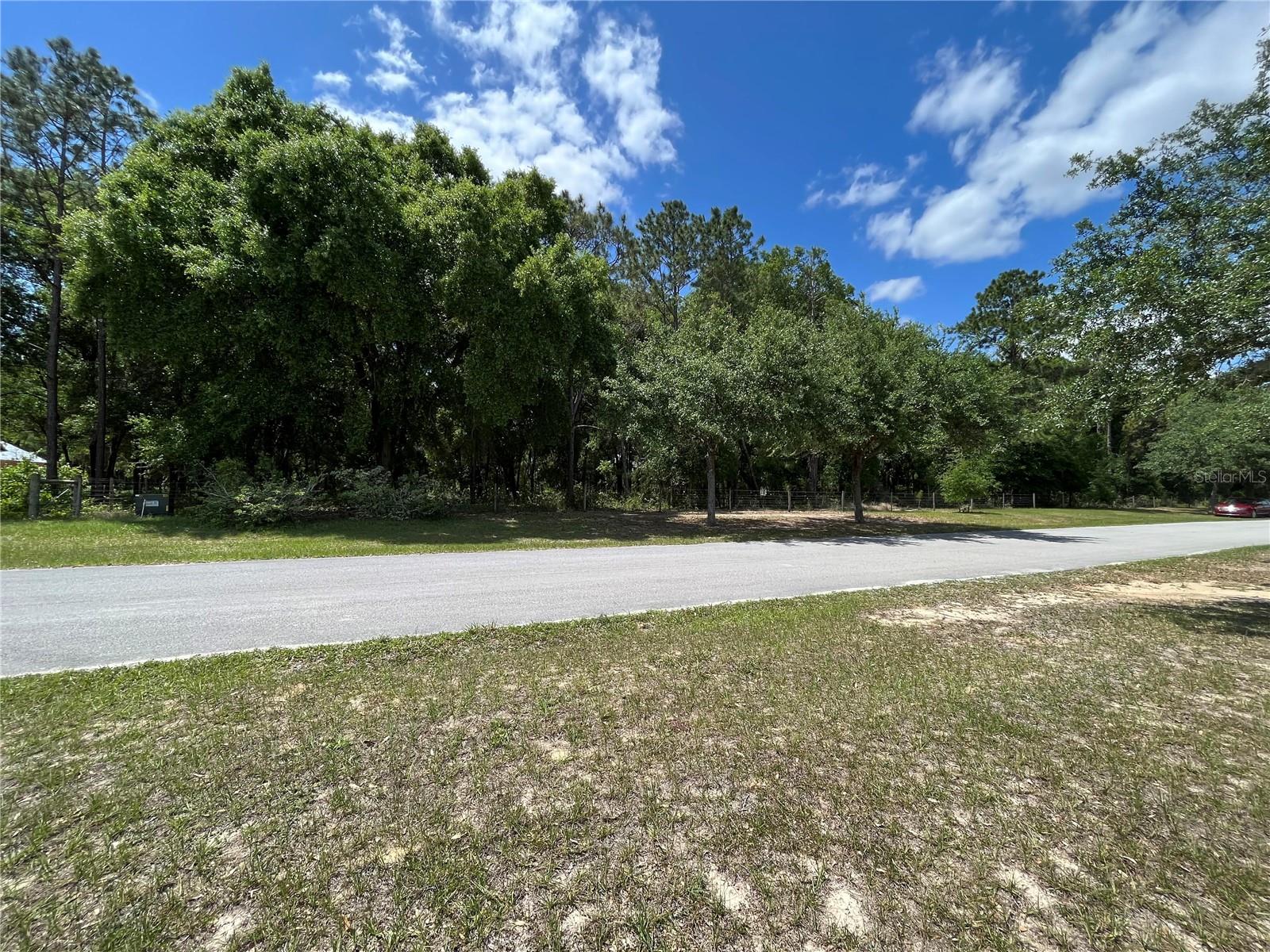 Details for Grass Roots Road, GROVELAND, FL 34736