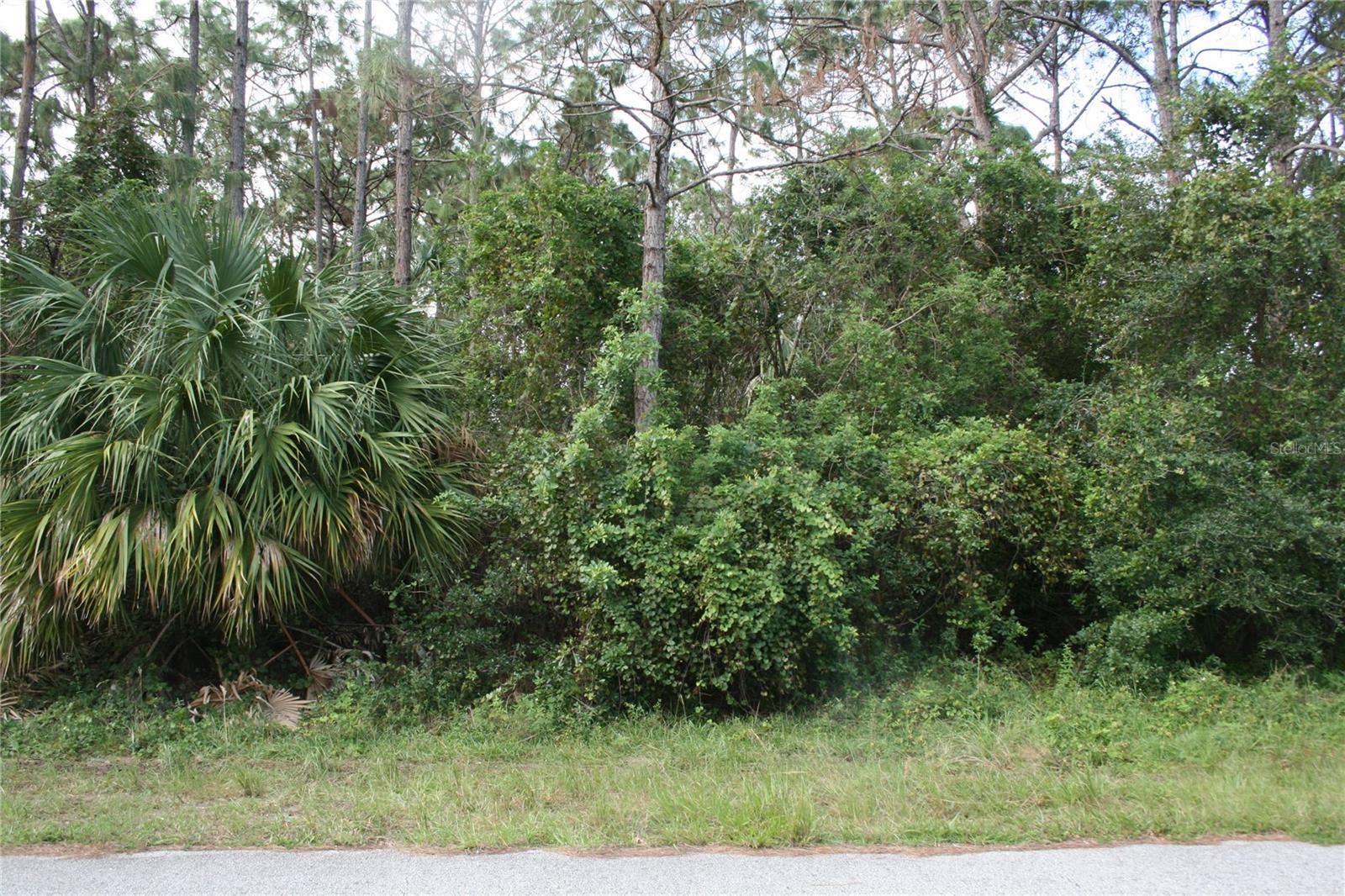 Listing Details for Lot 7 159th Court, OCALA, FL 34481