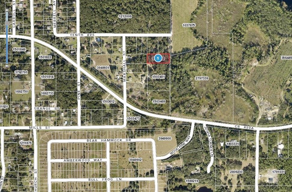 Details for  10th Avenue , UMATILLA, FL 32784