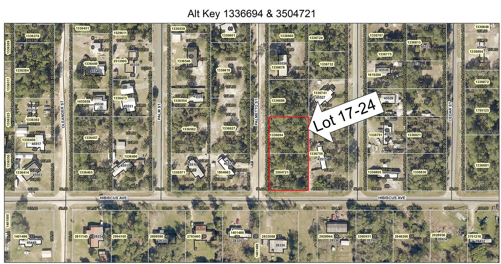 Details for Lot 17-24 Palmetto Street, PAISLEY, FL 32767