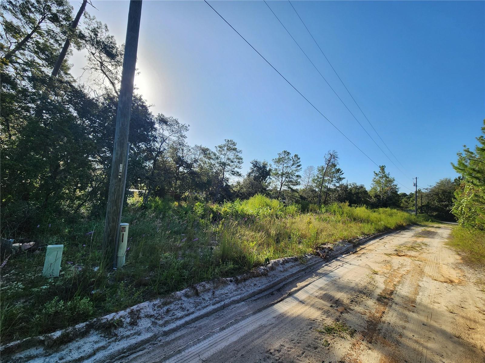 Image 10 of 14 For Lot 17-24 Palmetto Street