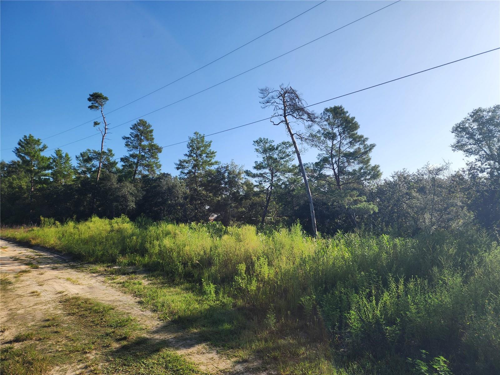 Image 11 of 14 For Lot 17-24 Palmetto Street