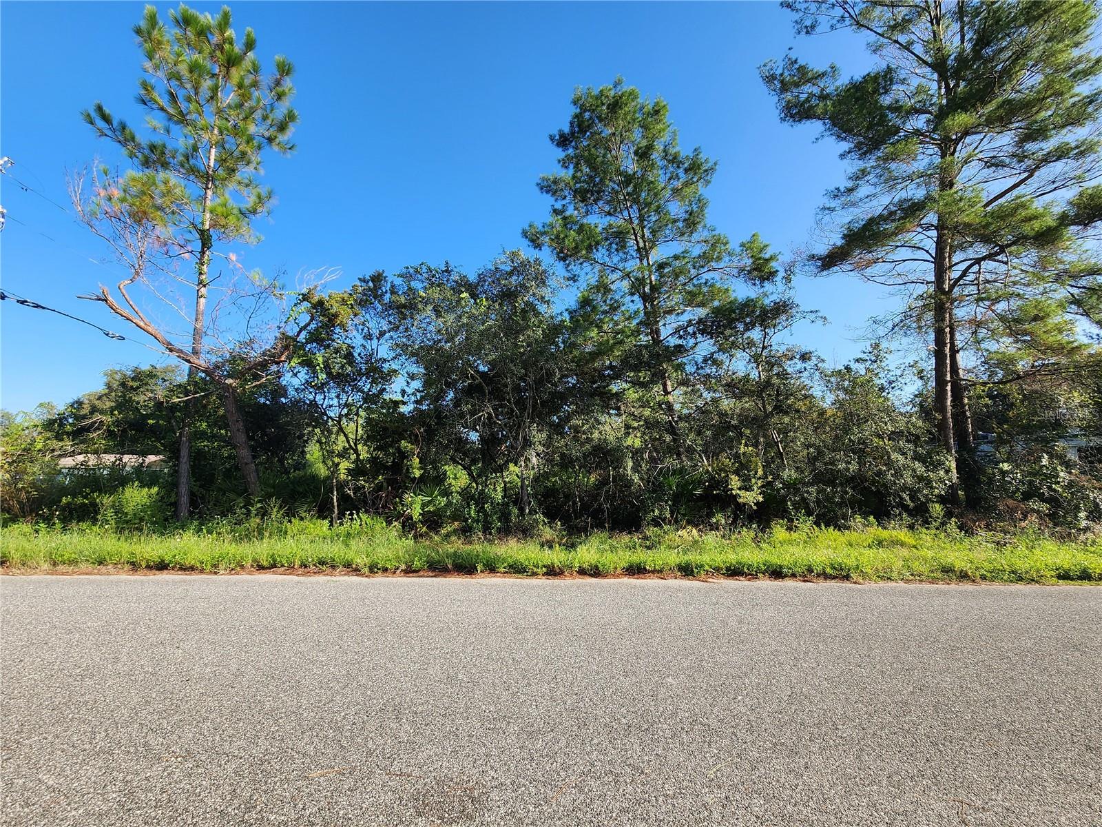 Image 12 of 14 For Lot 17-24 Palmetto Street