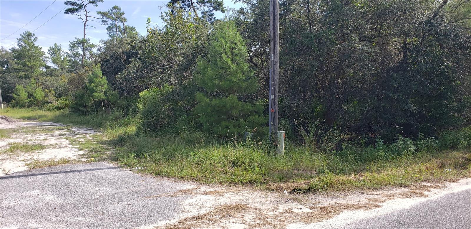 Image 13 of 14 For Lot 17-24 Palmetto Street