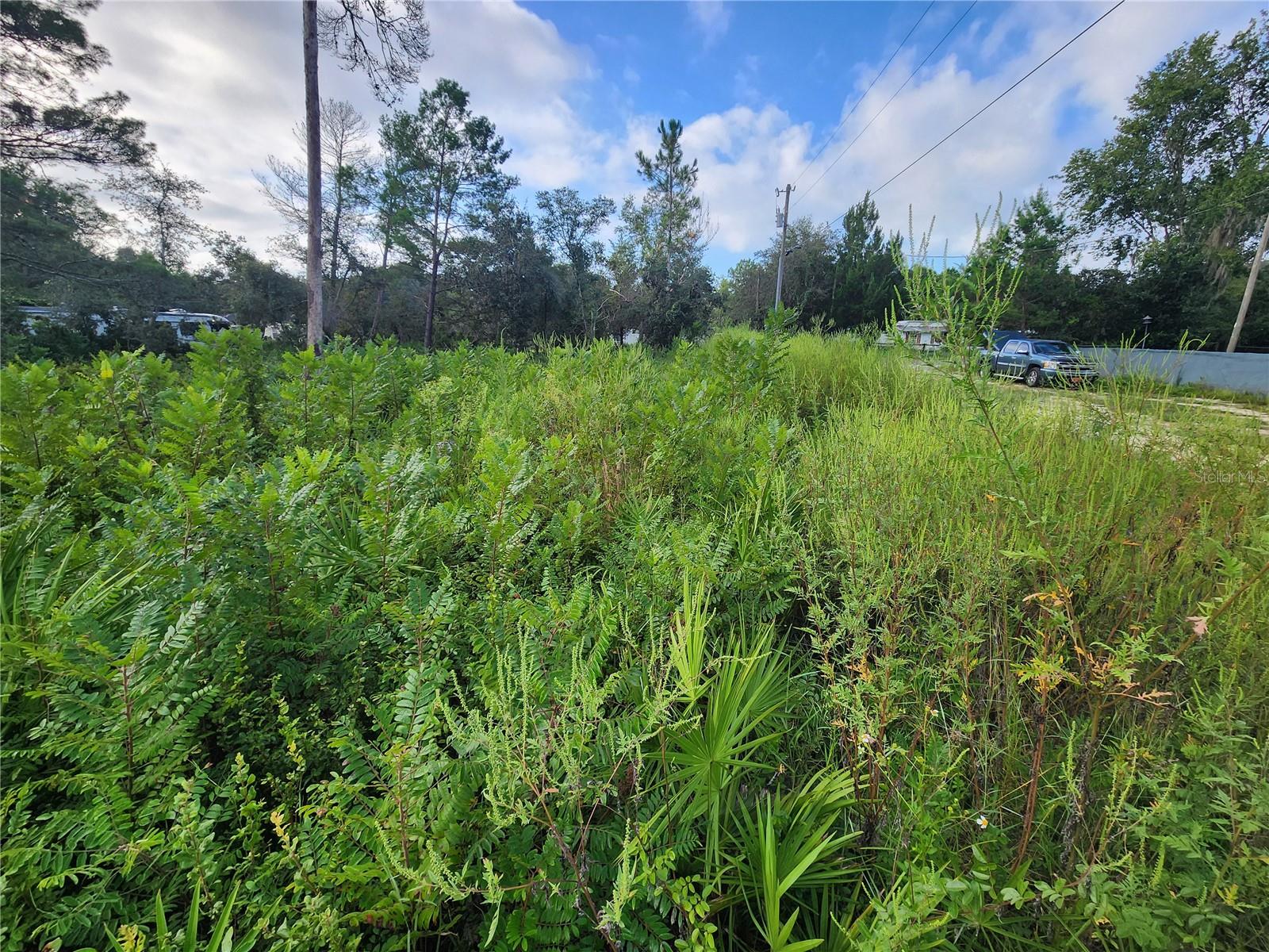 Image 5 of 14 For Lot 17-24 Palmetto Street