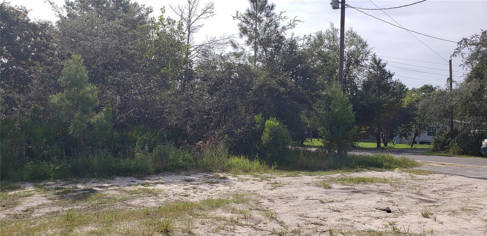 Image 8 of 14 For Lot 17-24 Palmetto Street