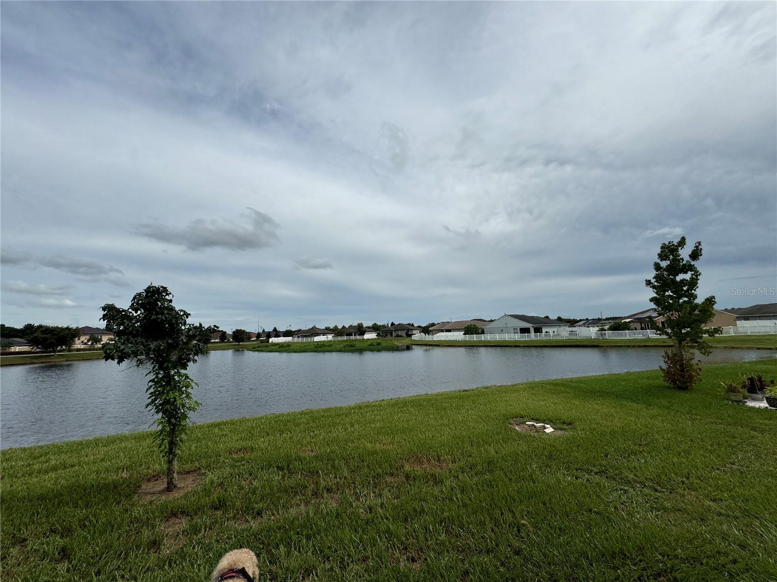 Details for 6740 Bayston Hill Place, ZEPHYRHILLS, FL 33541