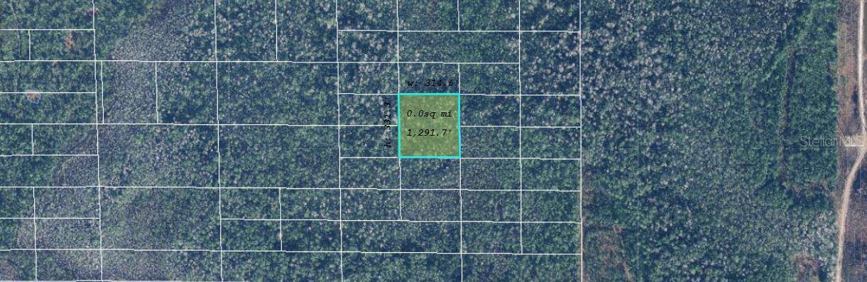 Image 2 of 3 For  Dill Road 