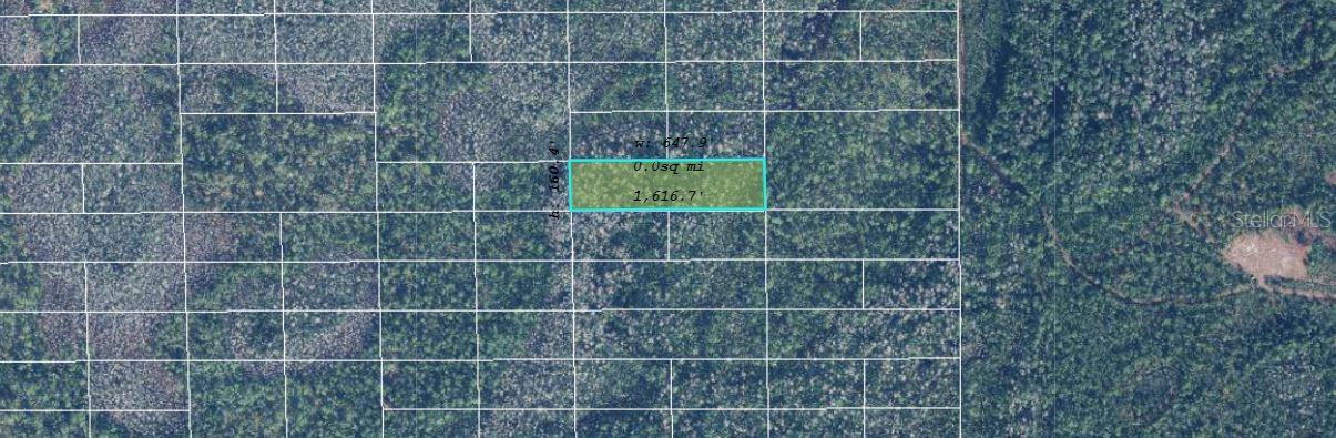 Image 2 of 3 For  Dill Road 