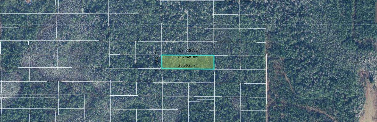 Image 2 of 3 For  Dill Road 