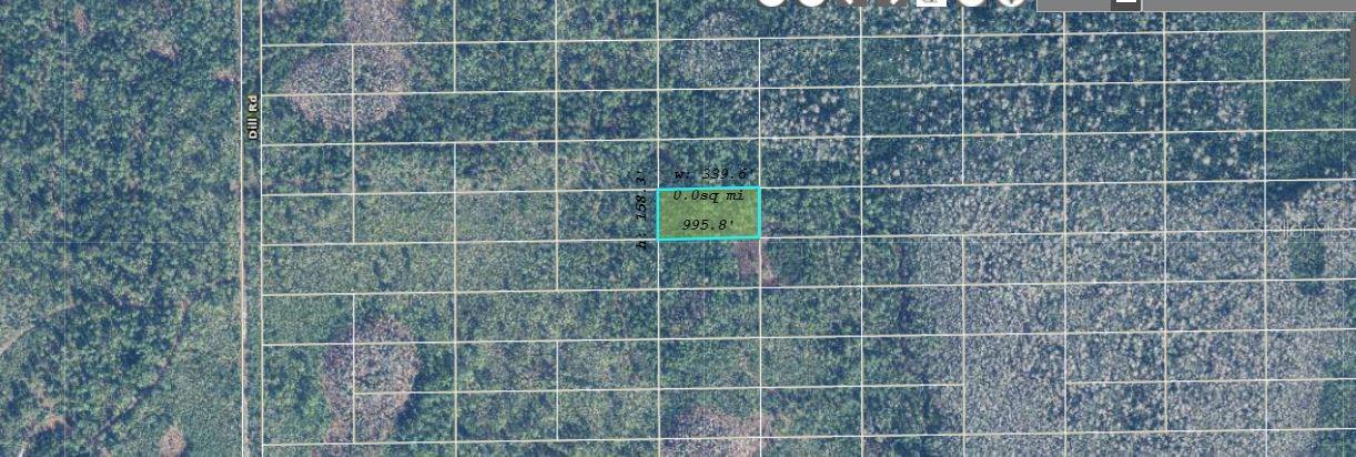 Image 2 of 3 For  Dill Road 