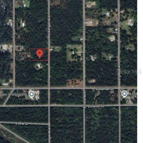 Listing Details for 10705 Beckenger Avenue, HASTINGS, FL 32145