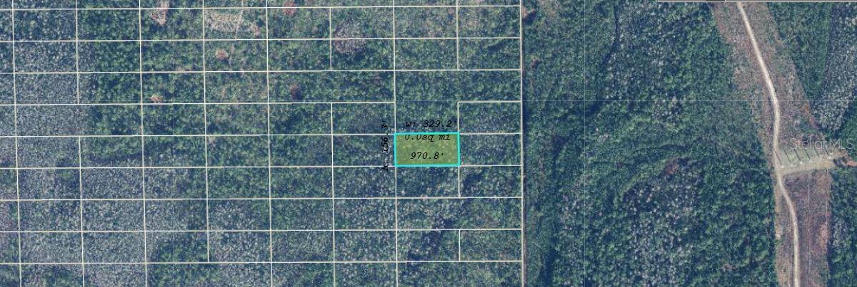 Image 2 of 3 For  Dill Road 