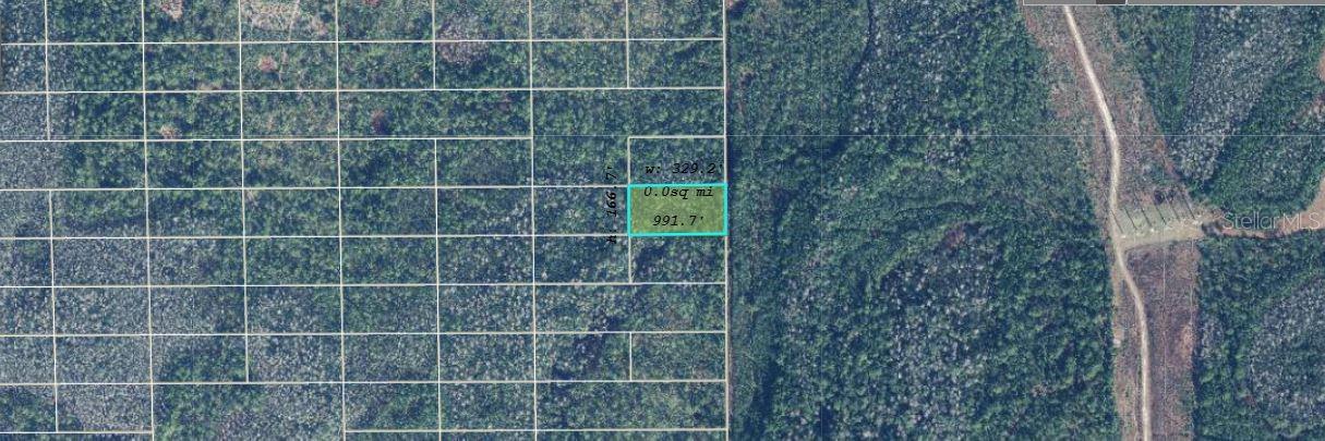 Image 2 of 3 For  Dill Road 