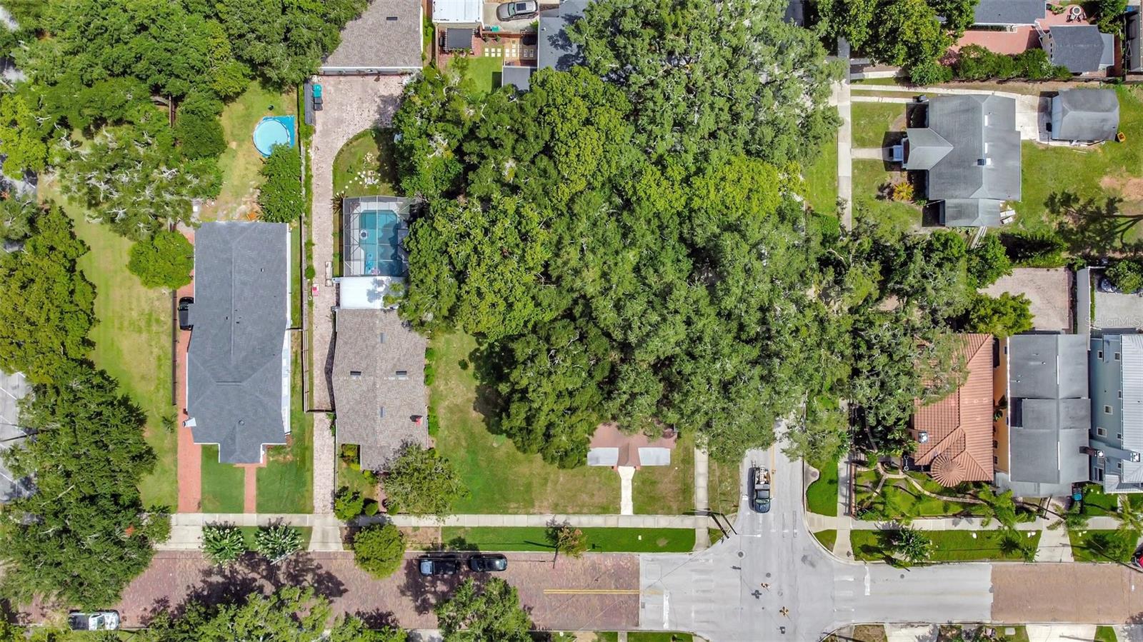 Details for  Amelia  , ORLANDO, FL 32803