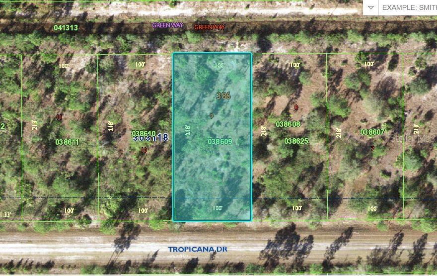 Listing Details for 518 Tropicana Drive, INDIAN LAKE ESTATES, FL 33855