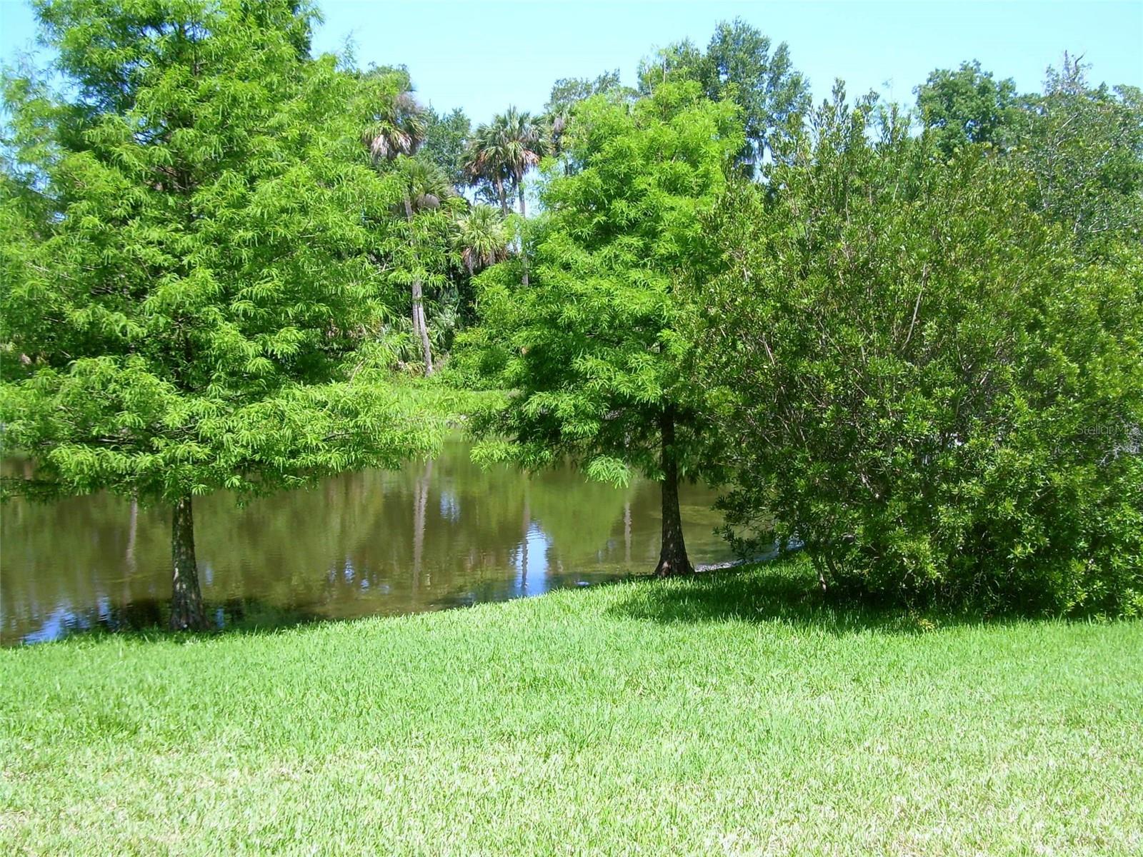 Image 21 of 22 For 5656 Great Egret Drive