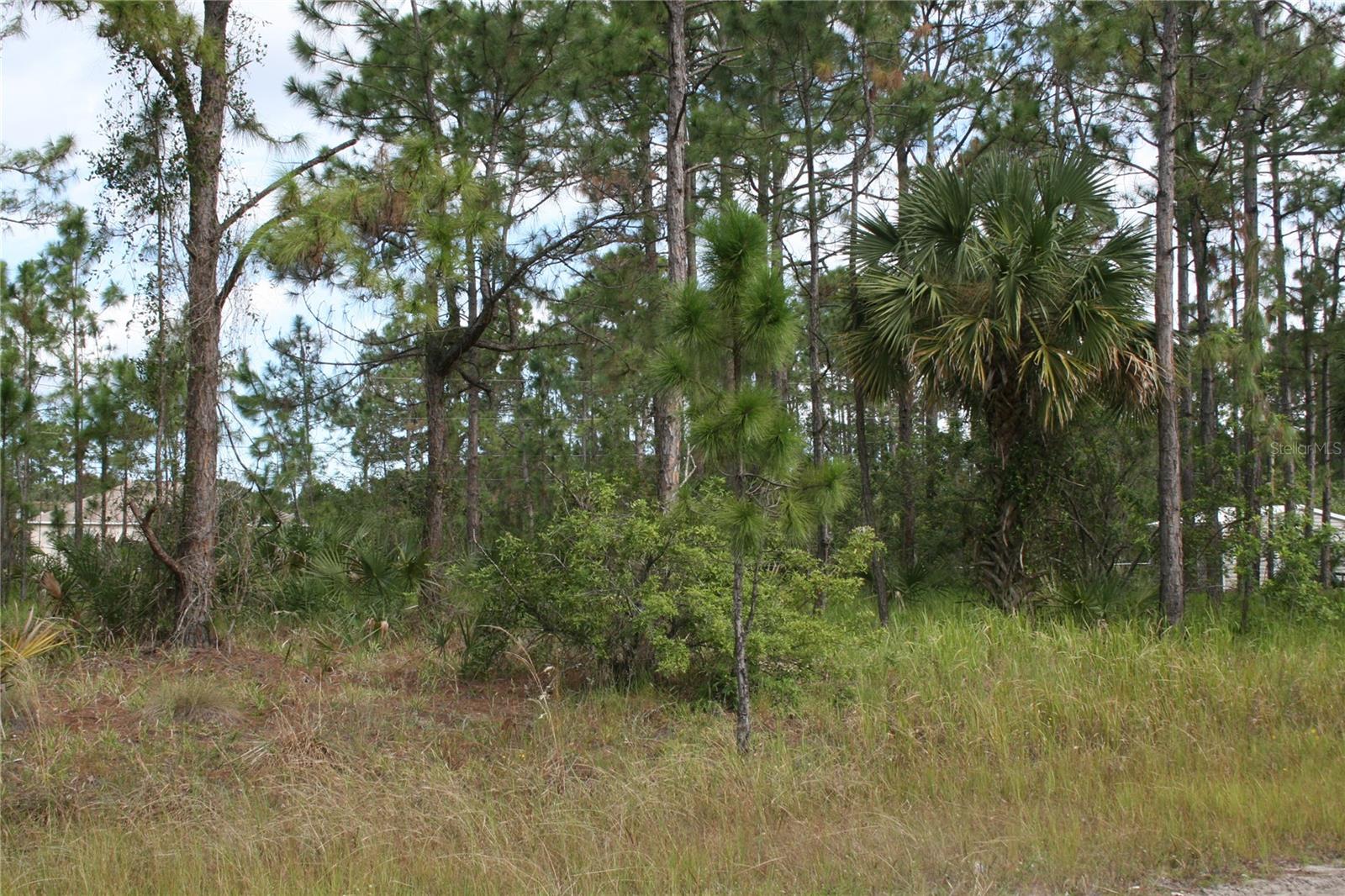 Details for Lot 167 57th Avenue, OCALA, FL 34482