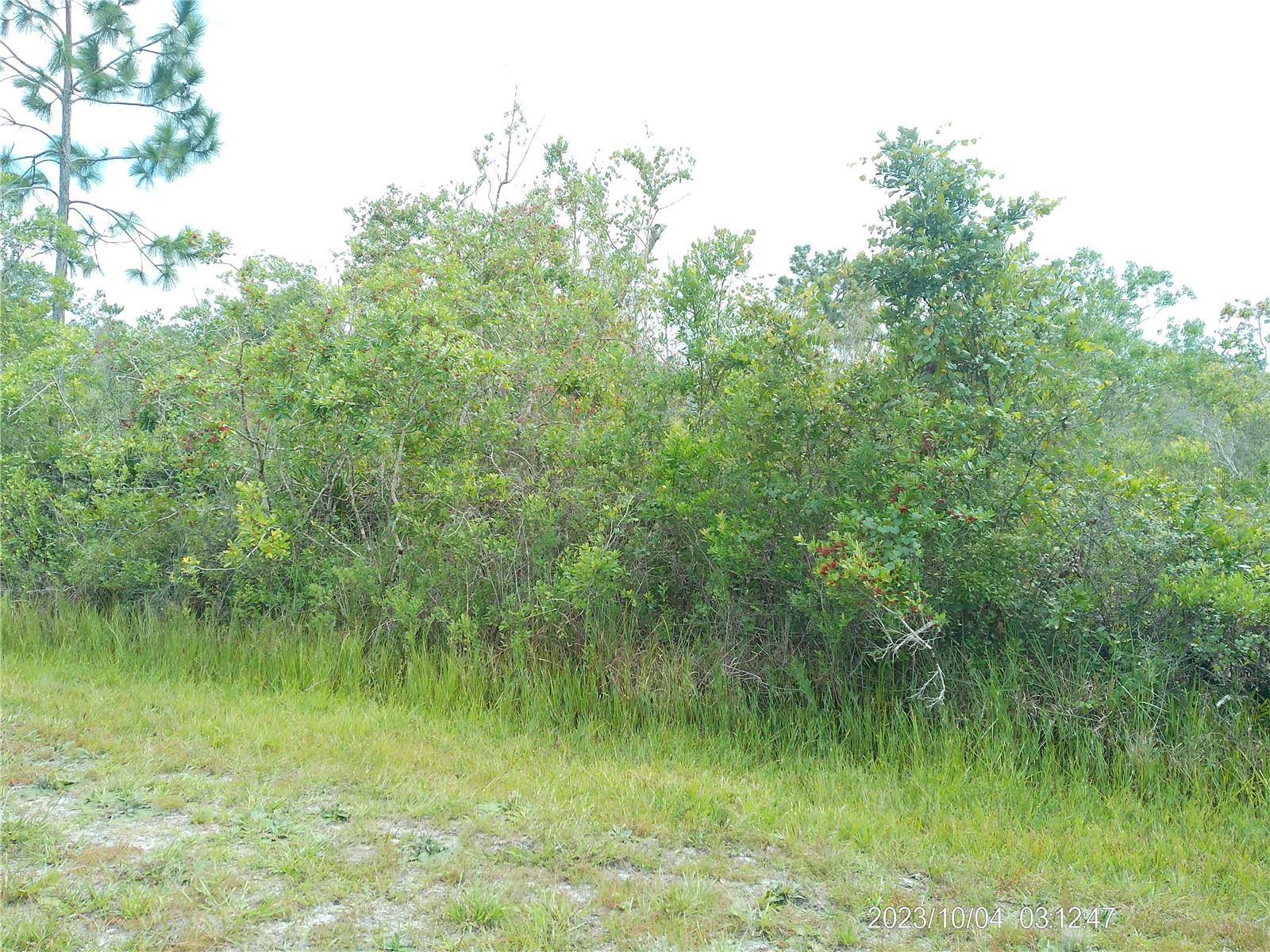 Image 2 of 15 For 309 Camellia Drive