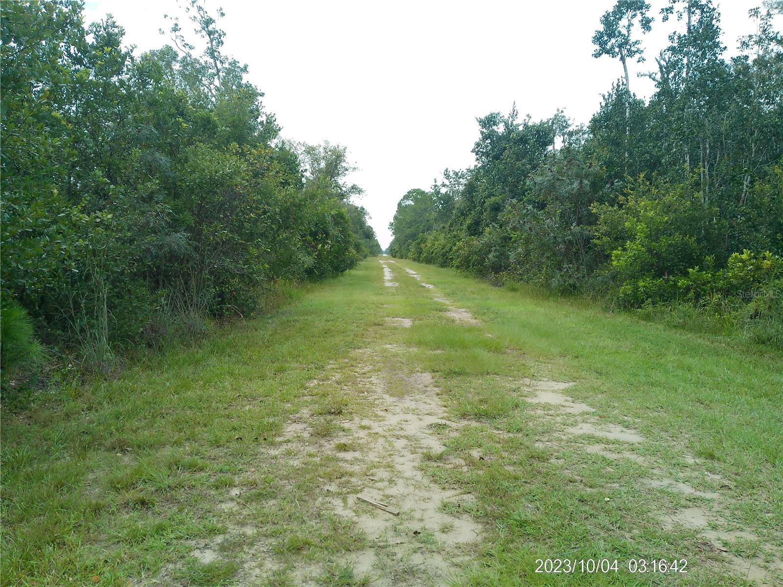 Image 5 of 15 For 309 Camellia Drive