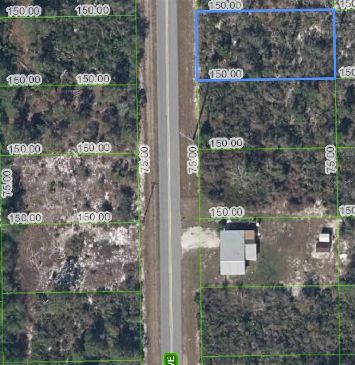 Details for 411 Hallmark Avenue, LAKE PLACID, FL 33852