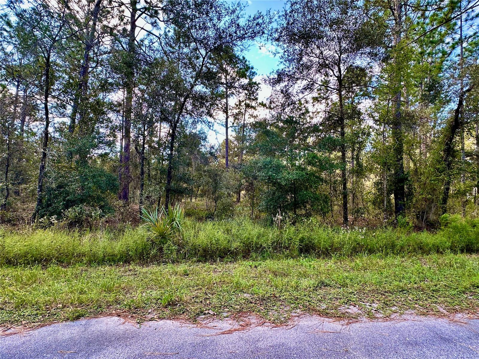 Details for Lot 16 Nw Summerfield Avenue, DUNNELLON, FL 34431