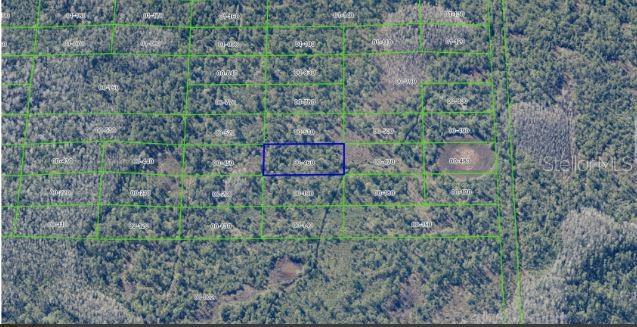 Image 6 of 6 For  Dill Road 