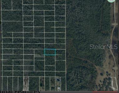 Image 6 of 6 For  Dill Road 