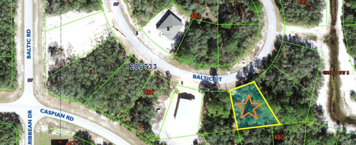 Listing Details for 425 Baltic Court, KISSIMMEE, FL 34759