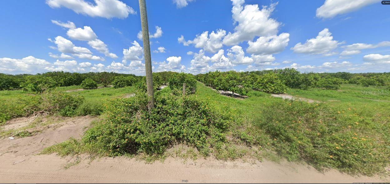 Image 3 of 3 For Holopaw Groves Road
