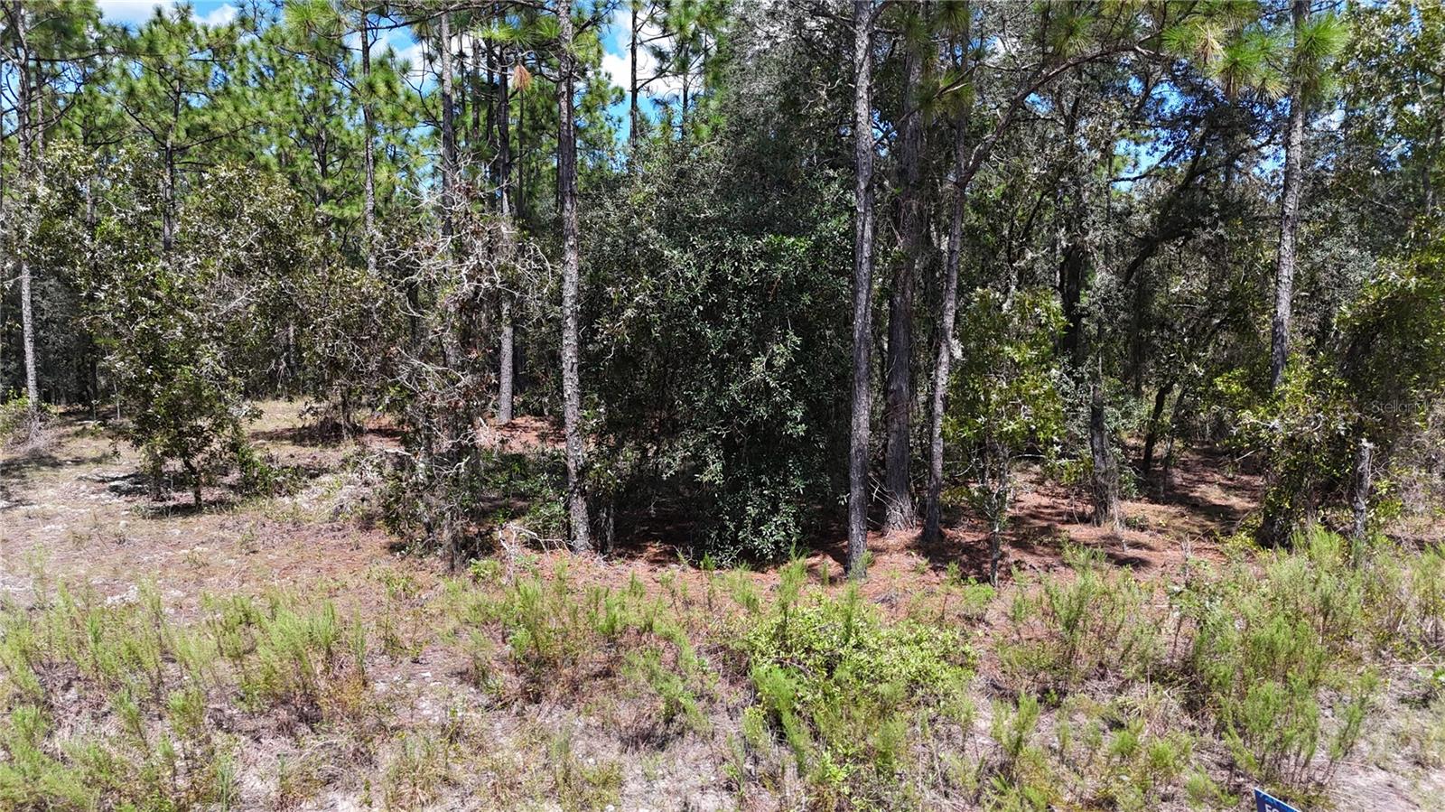 Details for Lot 33 Neptune Boulevard, DUNNELLON, FL 34431