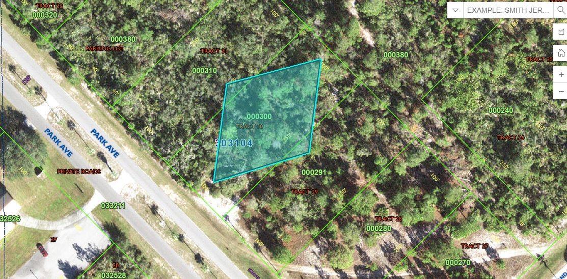 Listing Details for  Park Avenue , INDIAN LAKE ESTATES, FL 33855