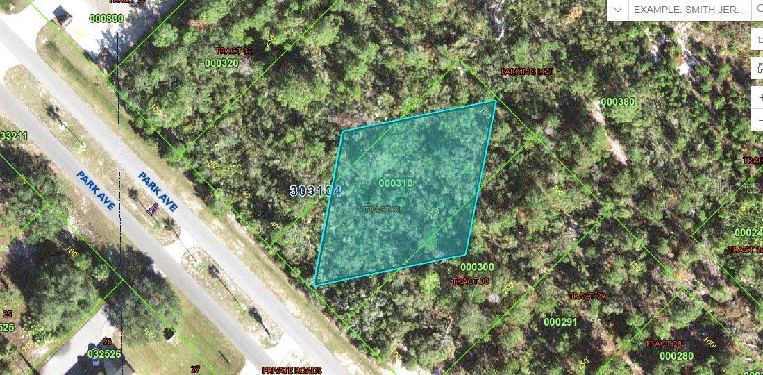 Listing Details for  Park Avenue , INDIAN LAKE ESTATES, FL 33855