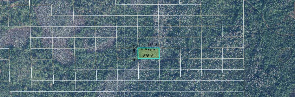 Image 2 of 3 For  Dill Road 