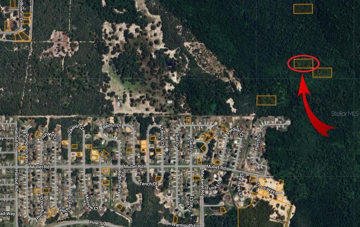 Details for 28,088178-81,488442, Poinciana, POINCIANA, FL 34759