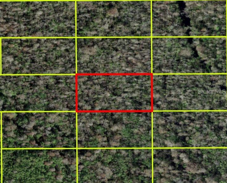 Image 2 of 6 For 28,088178-81,488442, Poinciana